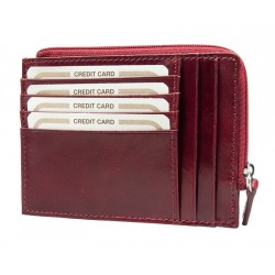 Credit card holder with zip 8933